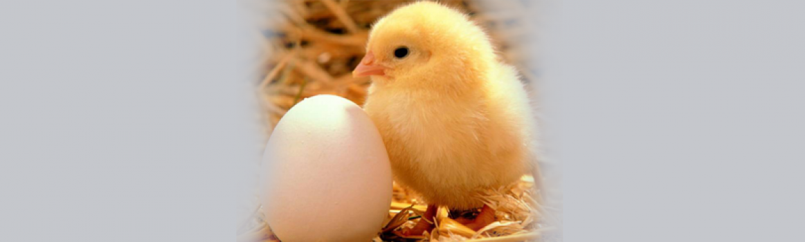 Faceted Search Has Landed