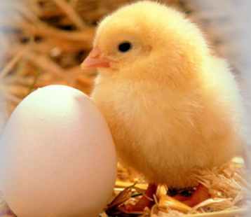 Faceted Search Has Landed